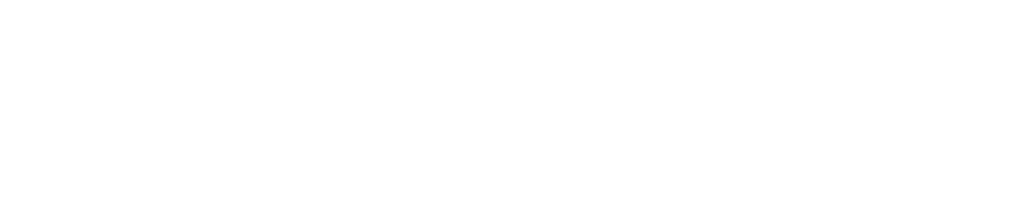Partner 2